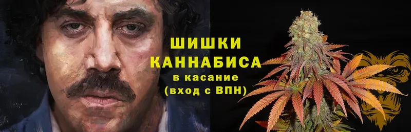 наркота  Тетюши  Шишки марихуана Bruce Banner 